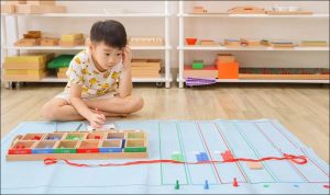 Đồ chơi phát triển tư duy cho bé