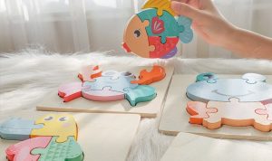 Đồ chơi phát triển tư duy 